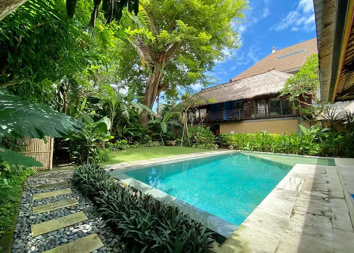 Little Tree House 2*