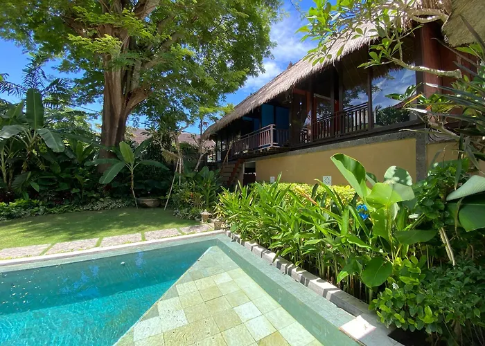 Little Tree House Guest house